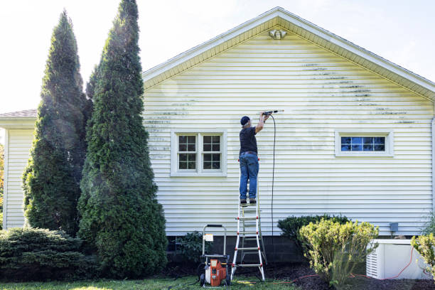 Best Soft Washing  in Sandwich, IL
